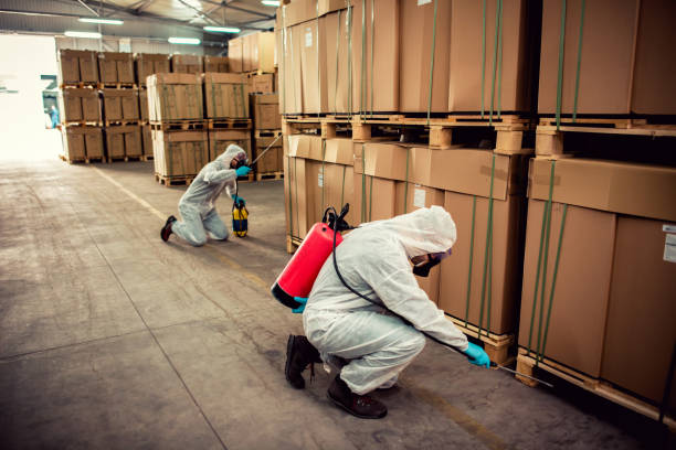 Best Insect Control  in Cashton, WI