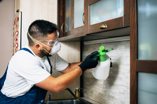 Best Commercial Pest Control Services  in Cashton, WI