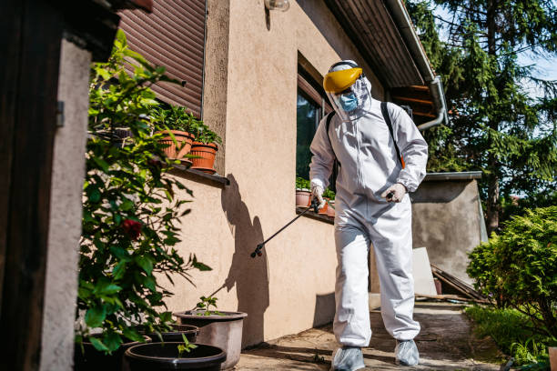 Best Residential Pest Control  in Cashton, WI