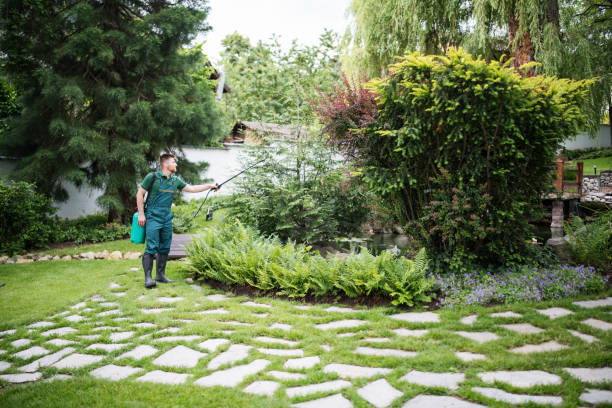 Best Insect Control  in Cashton, WI