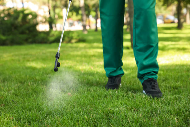 Best Affordable Pest Control Services  in Cashton, WI