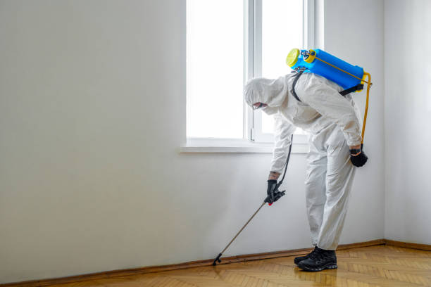 Best Best Pest Control Companies  in Cashton, WI