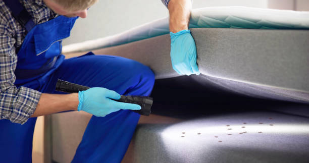 Best Flea Control Services  in Cashton, WI