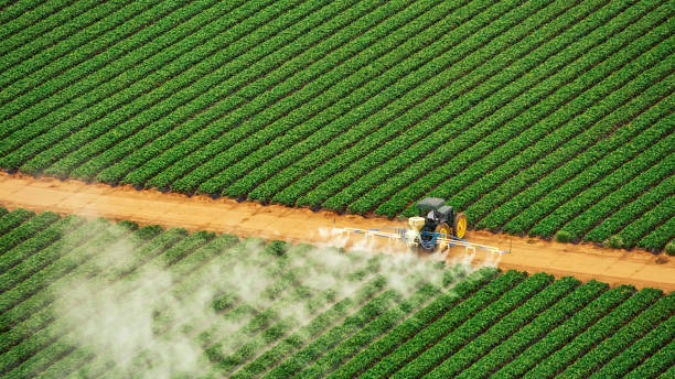 Best Mosquito Control Services  in Cashton, WI