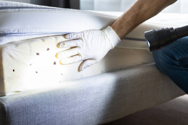 Best Wildlife Control Services  in Cashton, WI